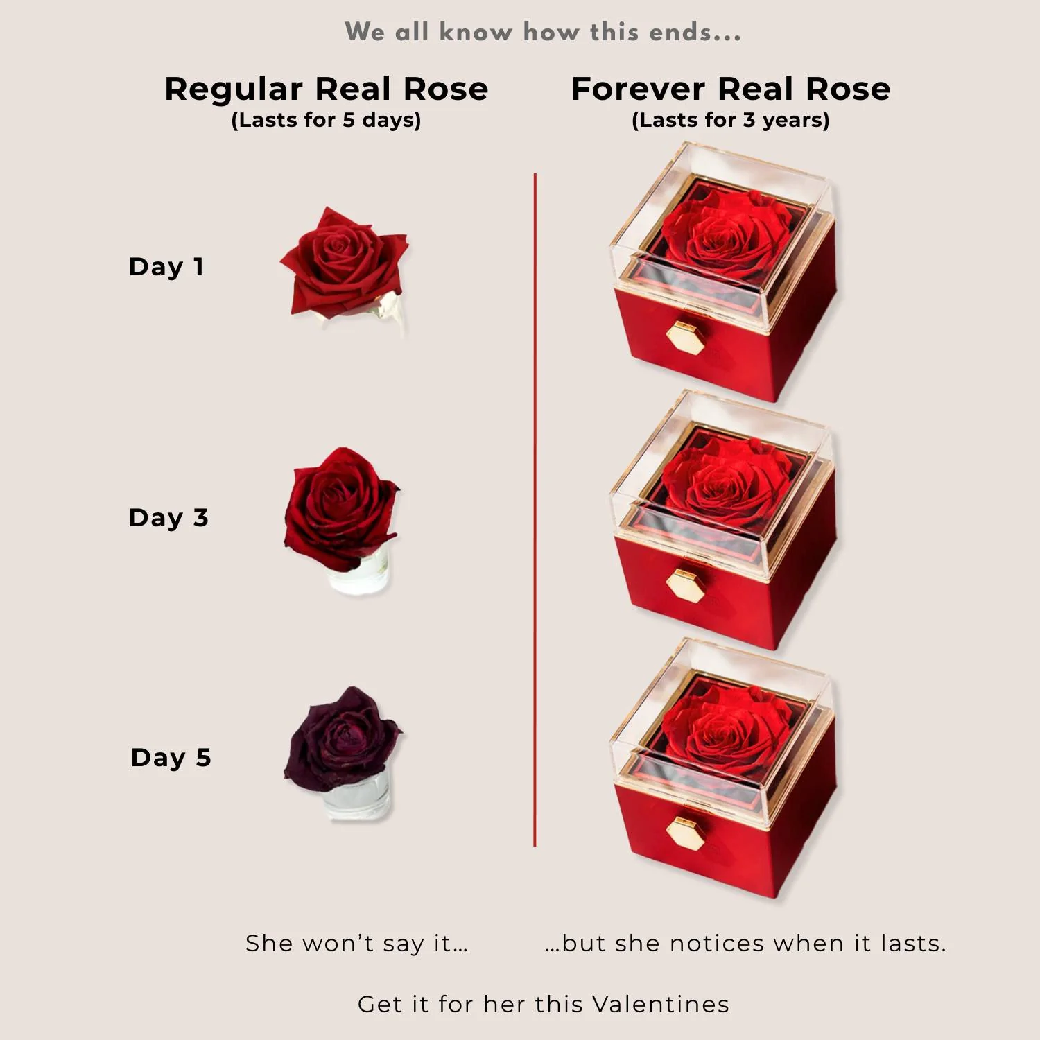 Valentine's Rotating Preserved Rose Jewellery Box - Image 3