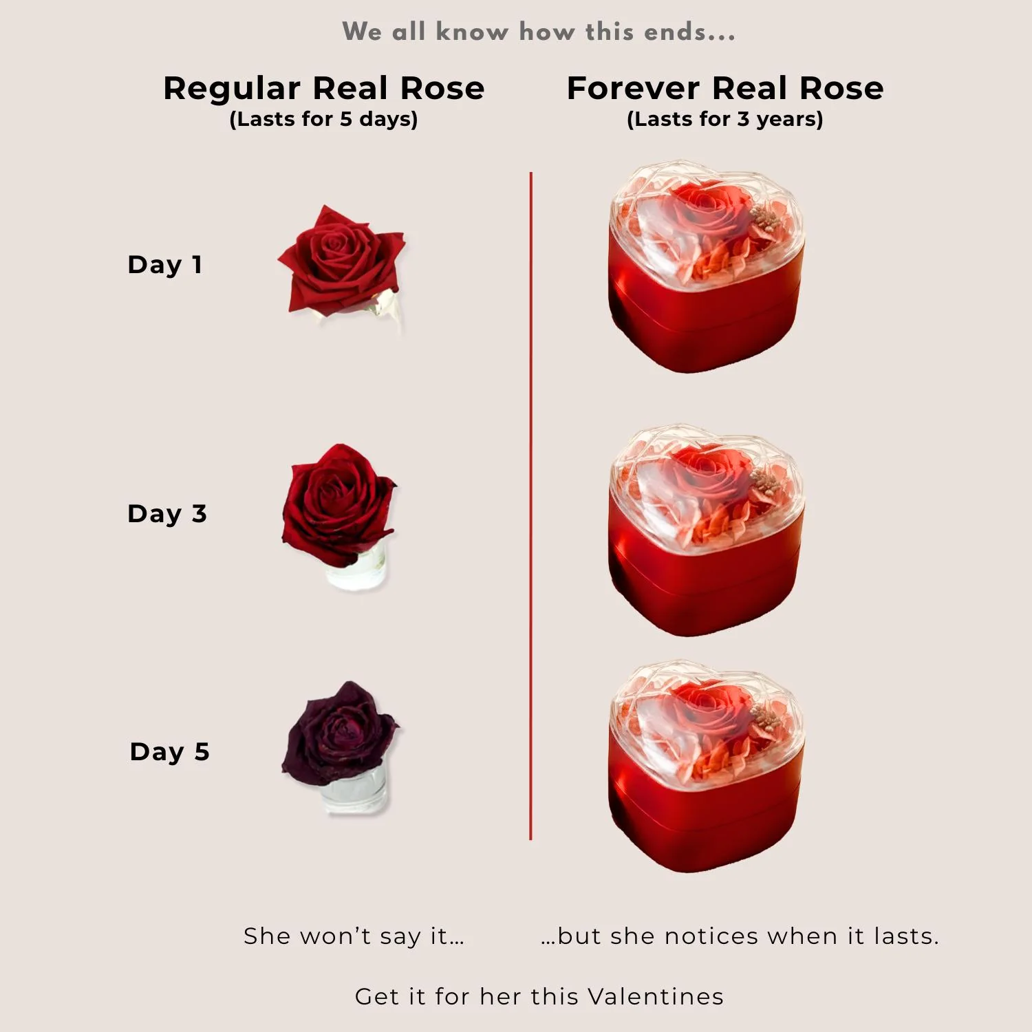 Valentine's Heart Shaped Preserved Rose Jewellery Box With Necklaces - Image 20